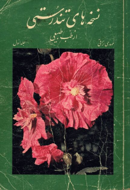 دانلود کتاب نسخه های تندرستی pdf