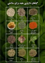 کتاب راهنمای سلامت انسان