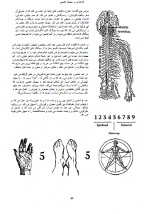دانلود کتاب حکمت اثر هری جوزف 2 جلدی